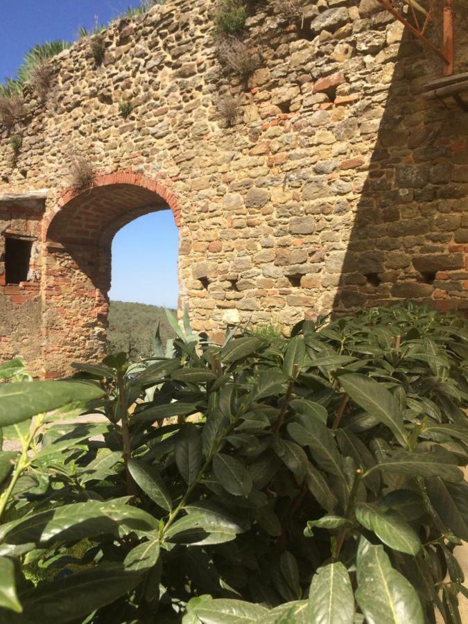 Апартаменты Mansarda Degli Ulivi Rigomagno Экстерьер фото